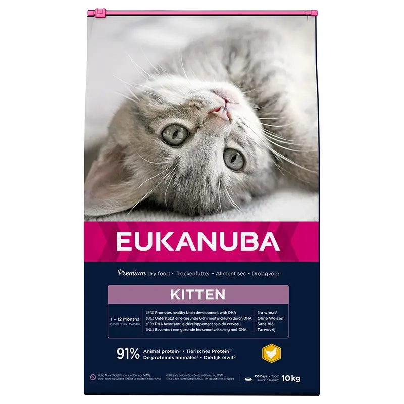 Eukanuba Healthy Start Kitten - 10Kg