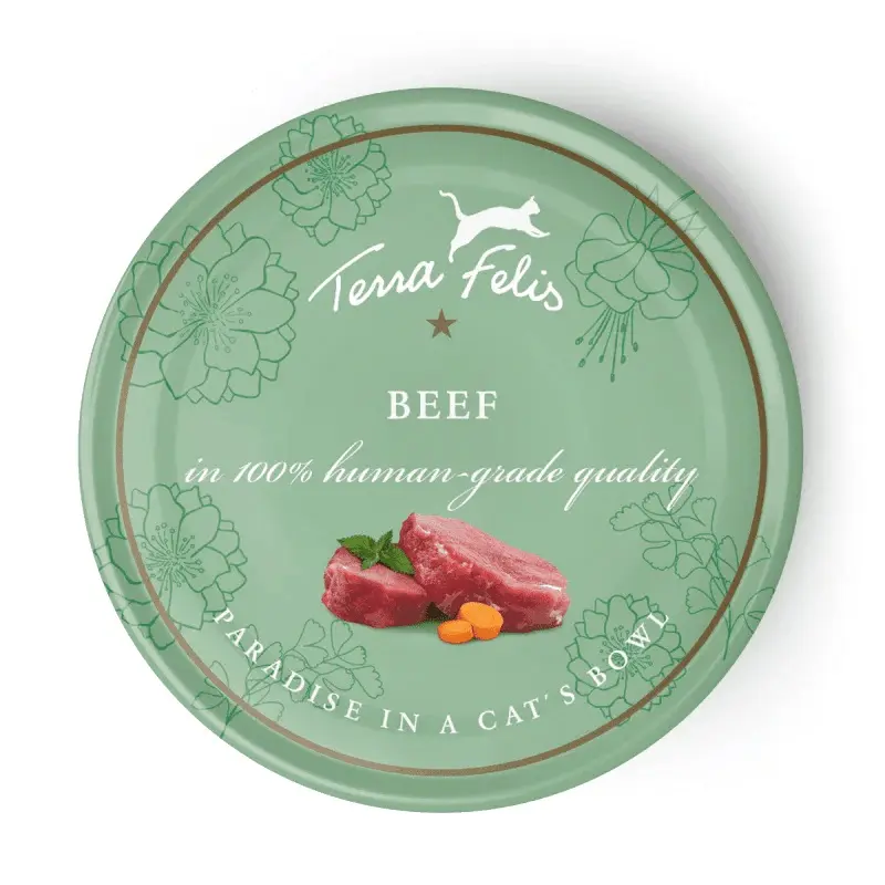 Terra Felis Grain Adult Cat Beef | : X 80G Size 12