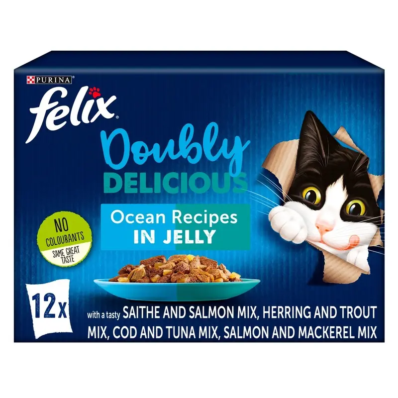 FELIX Doubly Delicious Ocean Recipes Wet Cat Food 12x100g (Pack of 4)