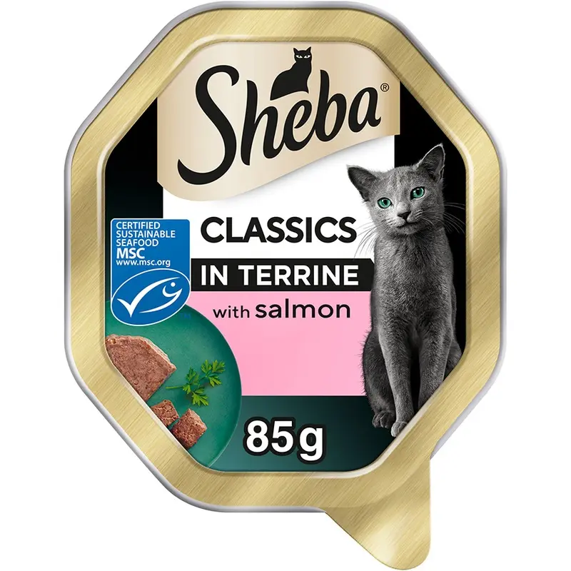 Sheba Classics Wet Adult Cat Food Salmon In Terrine 85G Tray
