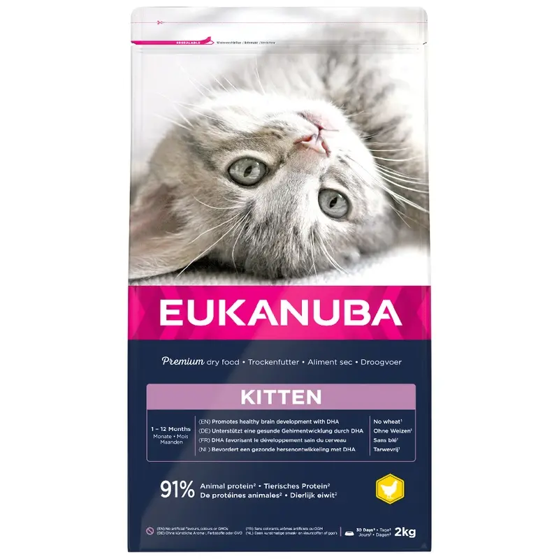 Eukanuba Healthy Start Kitten - 2Kg