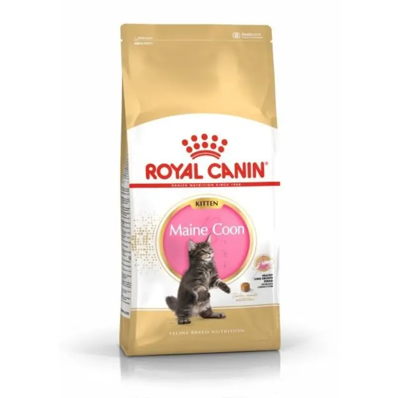 Royal Canin Royal Canin Maine Coon Kitten Dry Food - 10Kg