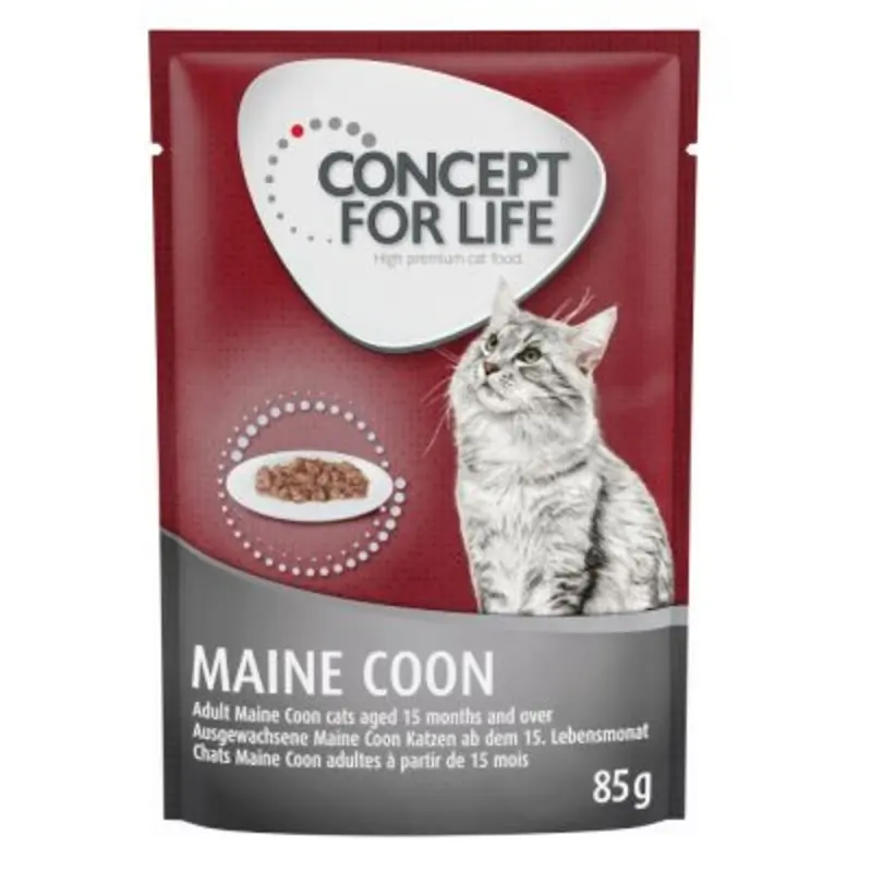 Concept For Life Maine Coon Adult - In Ragout - 12 X 85G