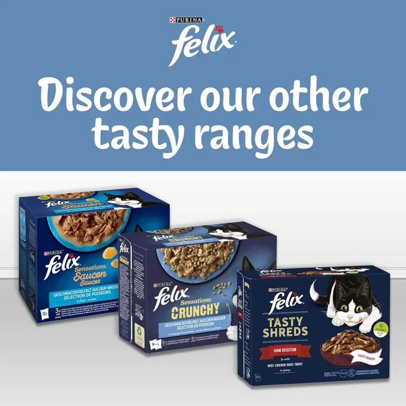 Felix (Gravy Wet Cat Food 12X85g (Pack Of 4)) Doubly Delicious Ocean Recipes Cat Food