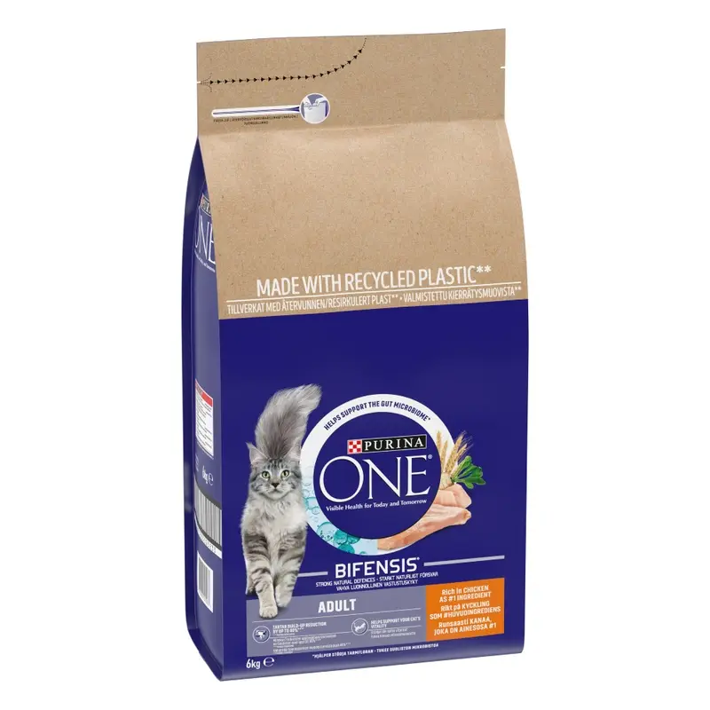 Purina One Adult Chicken & Whole Grains Dry Cat Food - 6Kg