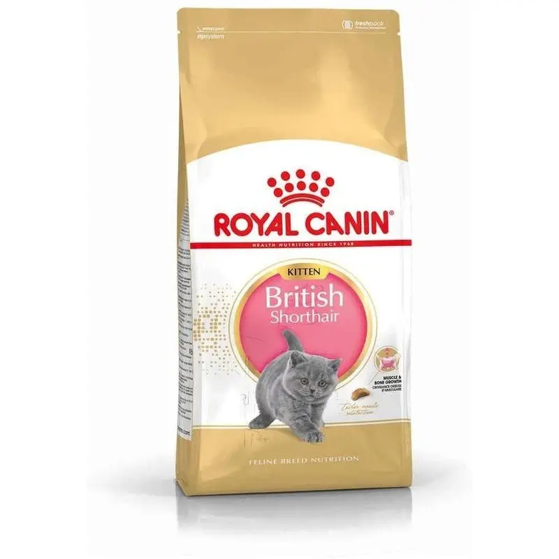 Royal Canin Royal Canin British Shorthair Kitten Dry Food - Bag 2Kg