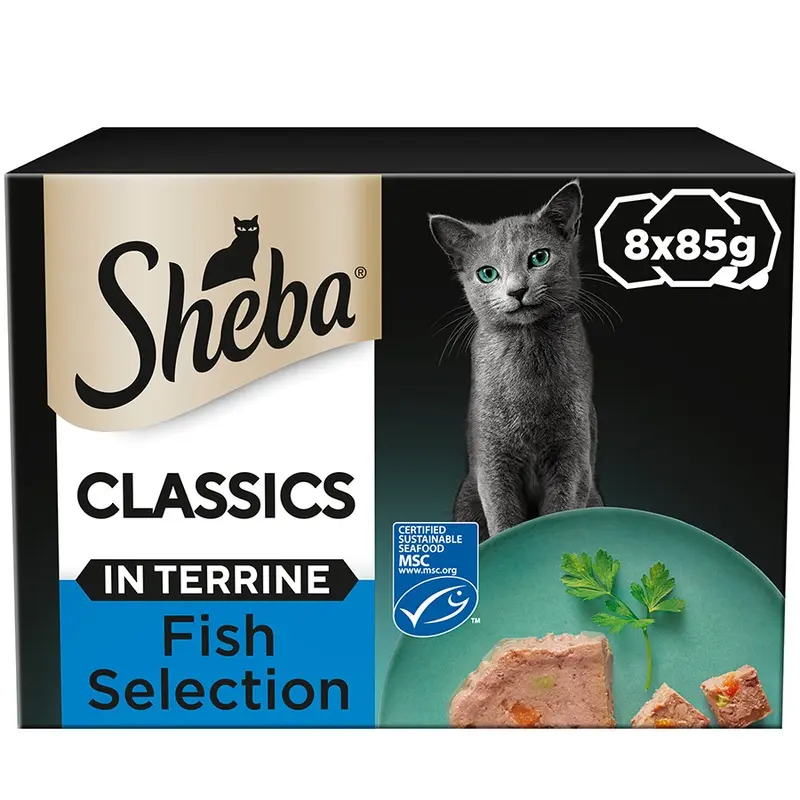 Sheba Classics Wet Adult Cat Food With Salmon In Terrine 8X85G Trays