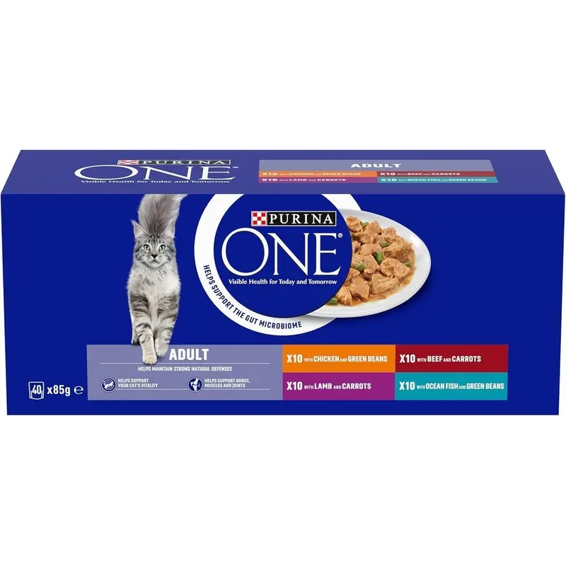 PURINA ONE Adult Cat Food Mini Fillets in Gravy 40 x 85g