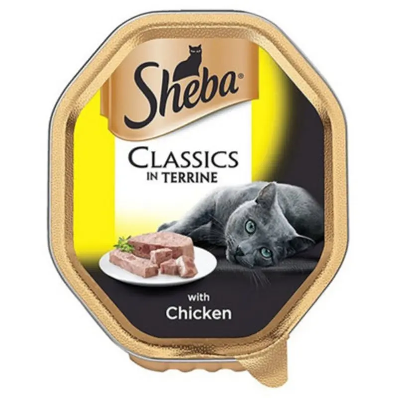 B&Q Sheba Tray Classics With Chicken In Terrine (Pack Of 22) 85G