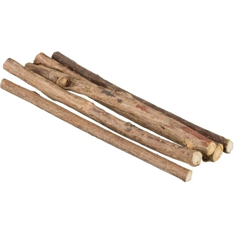 Trixie Matatabi Chewing Sticks Cat Toy - 10G