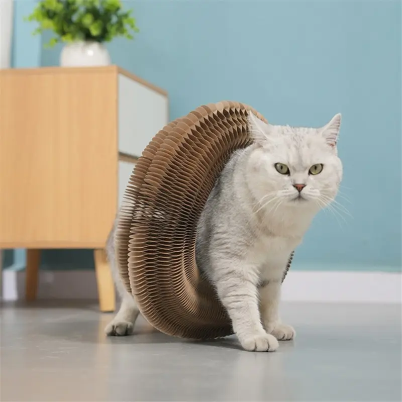 Cat Toy Cat Accordion Toy Accordion Cat Toy Magic Organ Cat Toy