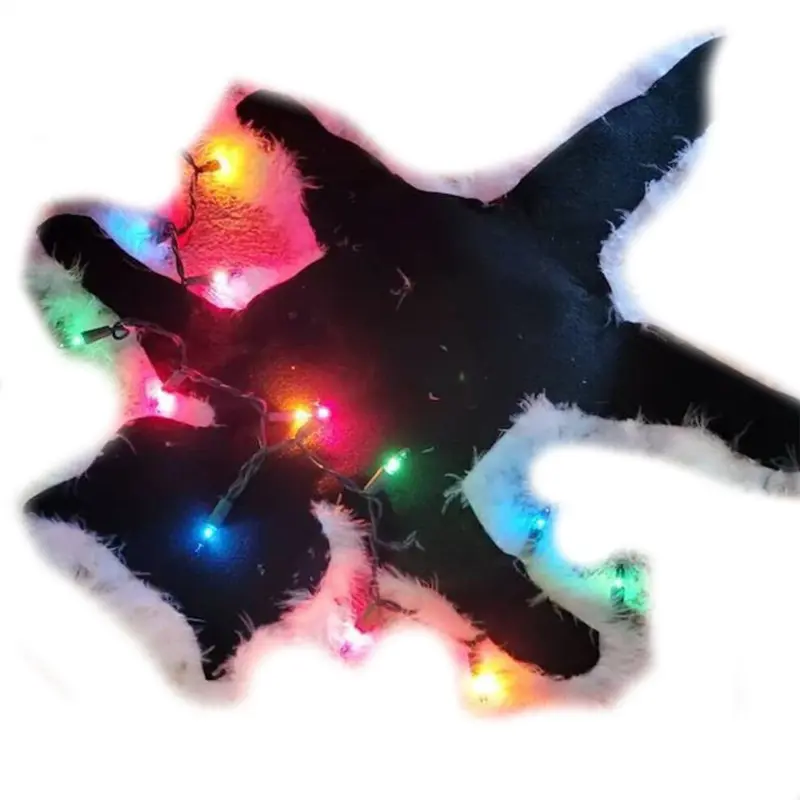 (lanterns) Christmas Fried Cat Plush Carpet with Optional Lights