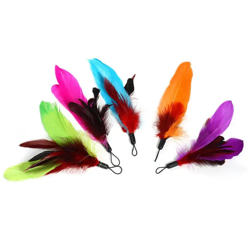 Zhihuan Cat Pet Toy Colorful Feather