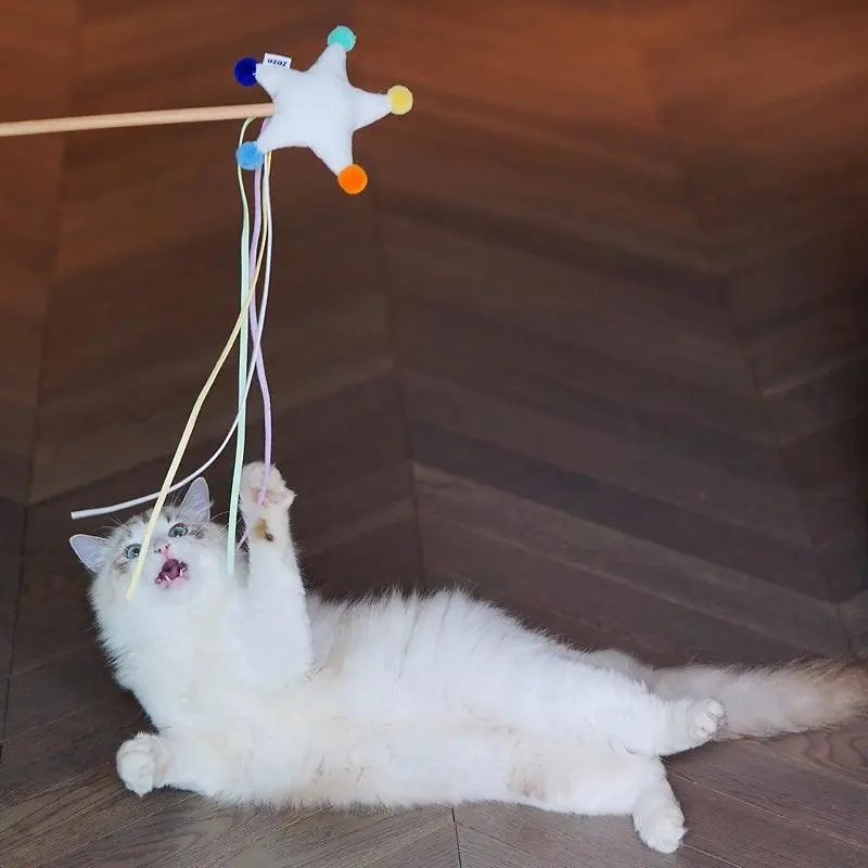 Zeze Starry Sky Cat Wand | Style: Star 70Cm