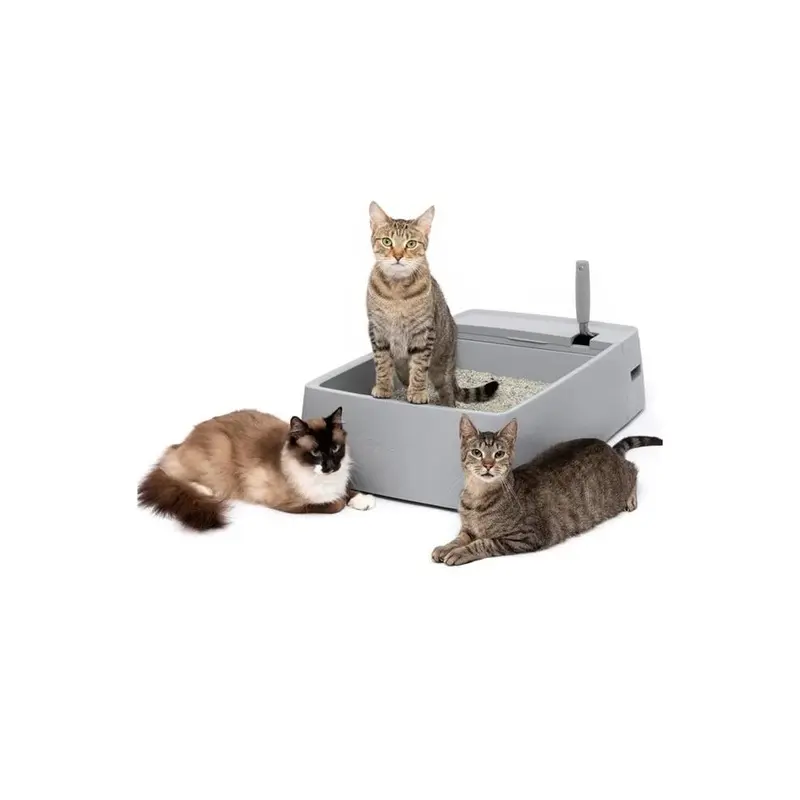 Petsafe Pet Safe Zwm00-17262 Multi-Cat Plastic Litter Box