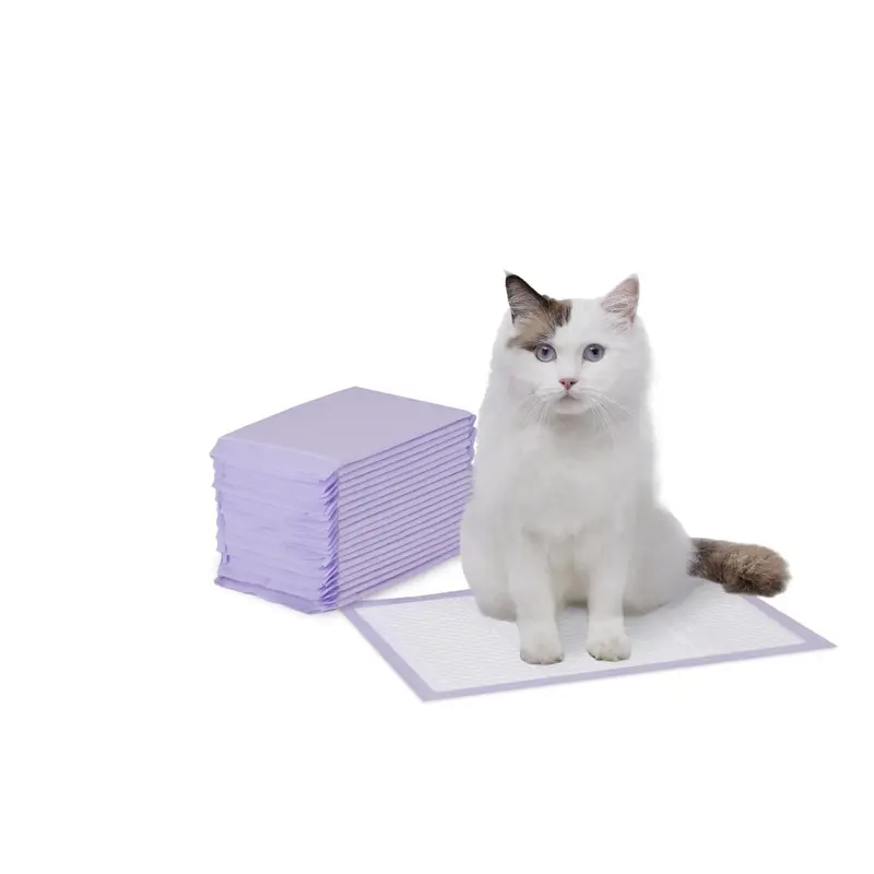 Amazon Purple/White Basics Cat Litter Box Pads, Pack Of, Unscented, Size 20
