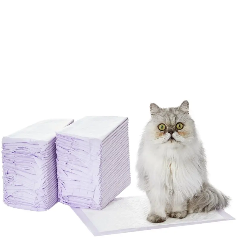 Amazon White/Purple Basics Cat Pad Refills For Litter Box Fresh Scent Pack Of 60