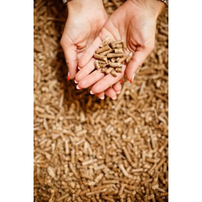 Catvenience Wood Pellet Cat Litter 60 Litre Pine Wood Pellets
