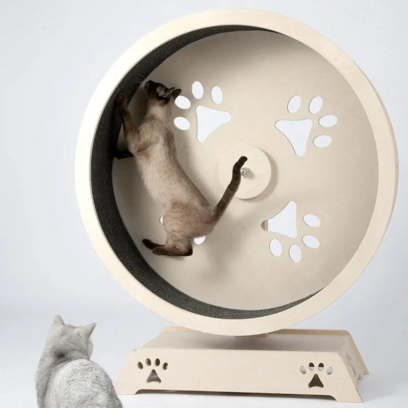 Honeypot Cat Treadmill | : Medium