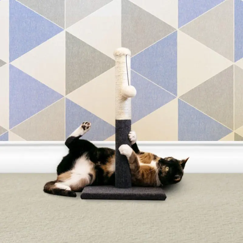 Allpetsolutions Cat Scratching Post With Play Ball 50Cm