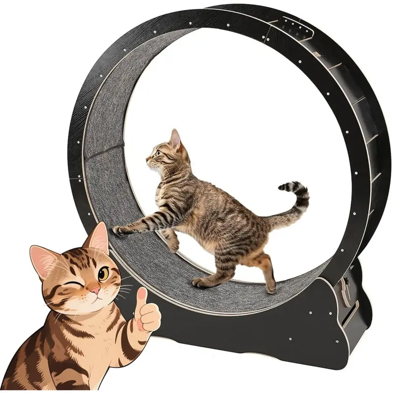 New Yodolla (Black) 43.3 Inch Indoor Cat Exercise Wheel Black 12042 Large