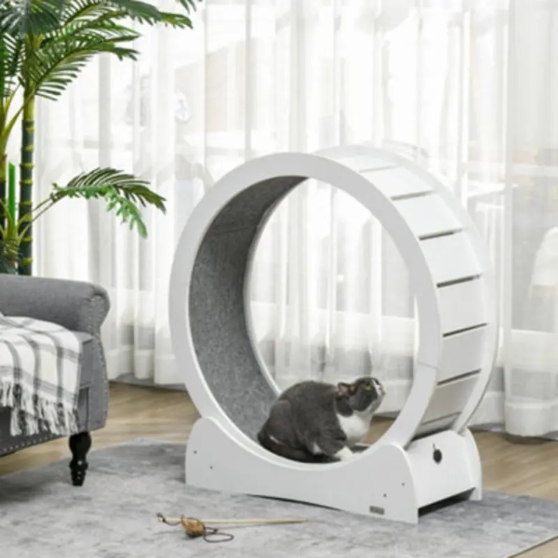 Pawhut Cat Exercise Wheel, 30 Inch Running Treadmill With Brake, White