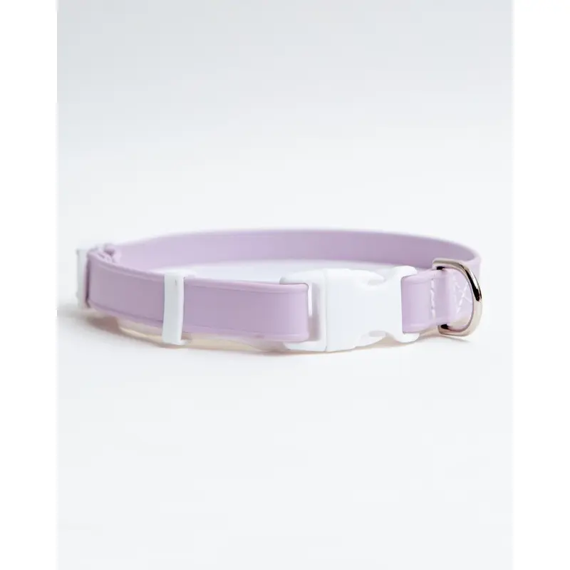 A Walk in the Park Dog Collar in Lilac