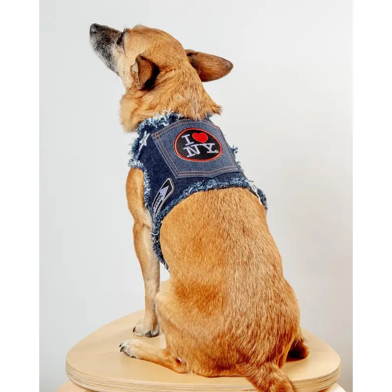 NYC Denim Dog Harness (Dog & Co. Exclusive)