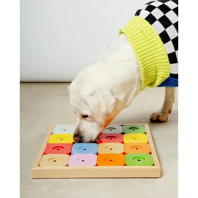 Sudoku Dog Treat Puzzle Game in Rainbow Edition (16 squares)