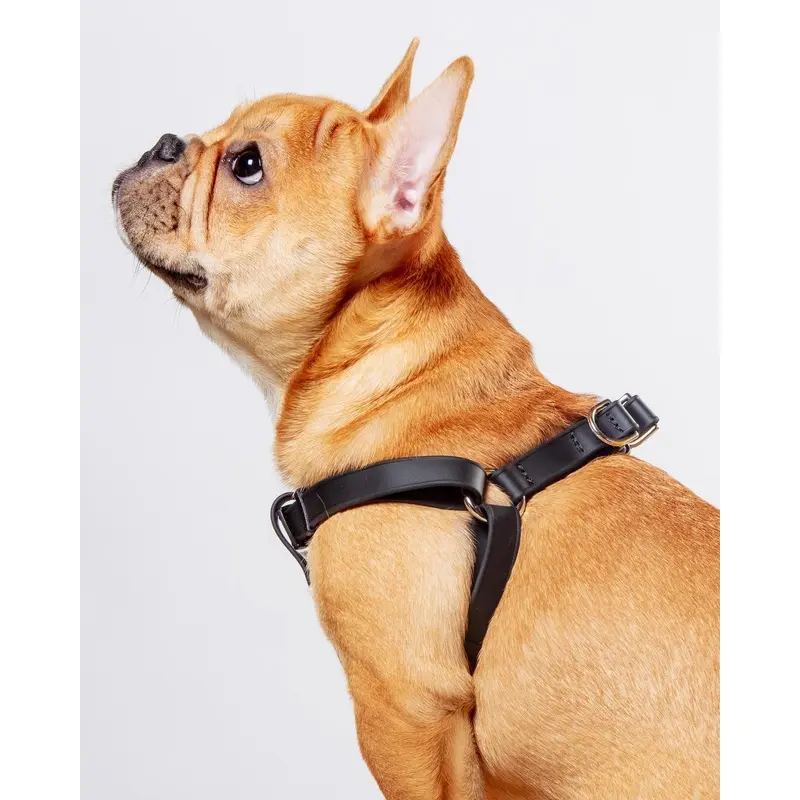 Walk in the Park Waterproof Dog Harness in Black (Made in the USA)