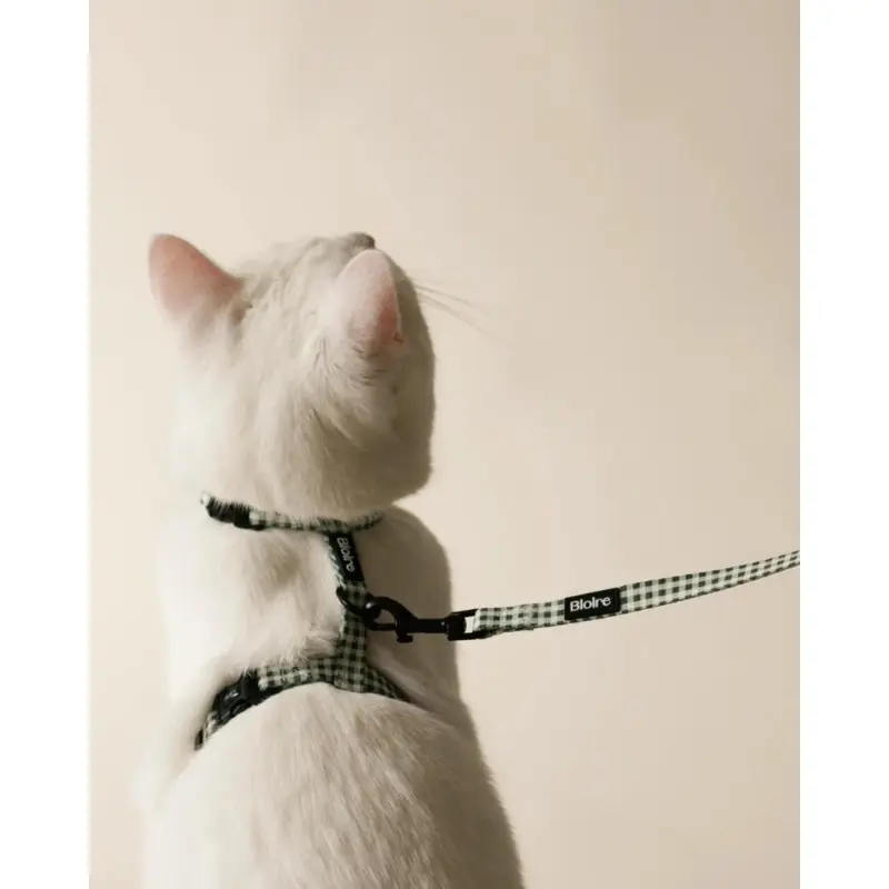 Green Plaid Matching Cat Harness & Leash Set