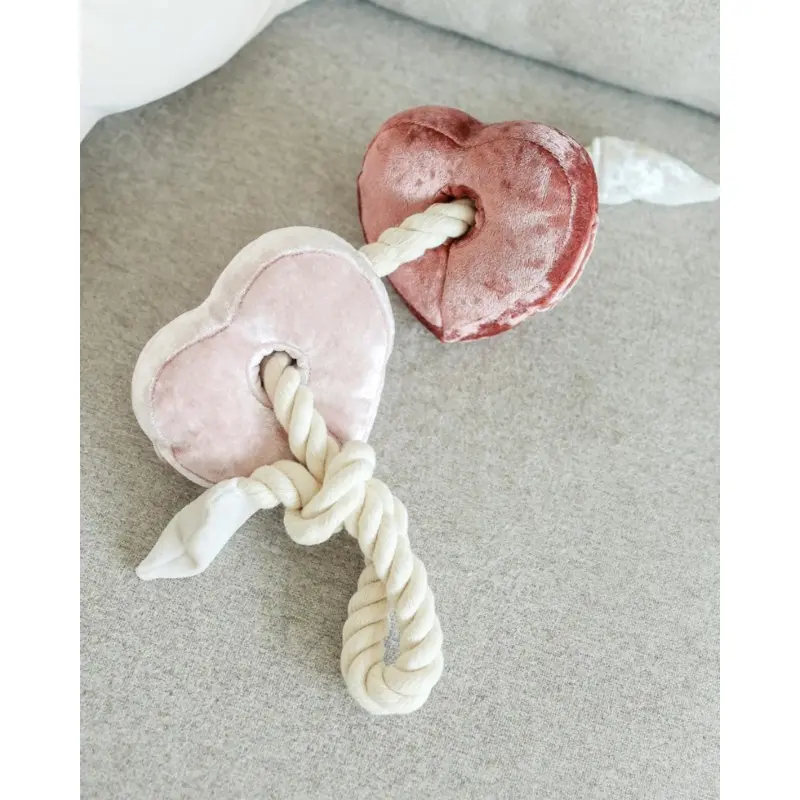 Heart Blocs Interactive Tug Dog Toy