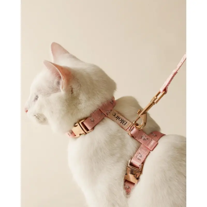 Meadow Matching Cat Harness & Leash Set