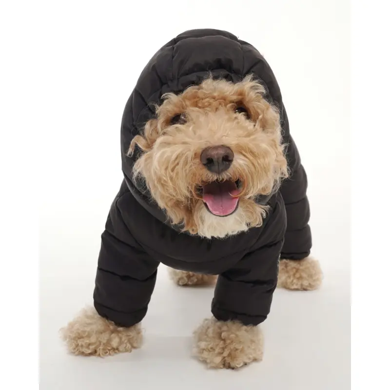 Padded Winter Coverall for Dogs w/ Hood