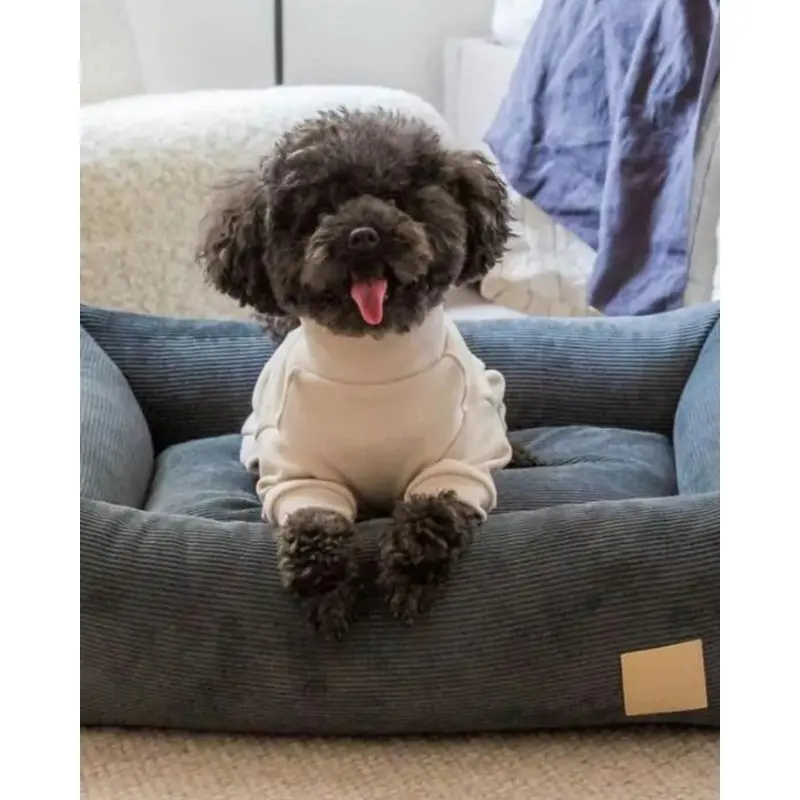 Soft Touch Dog Onesie in Sandstone or Myrtle Green (FINAL SALE)