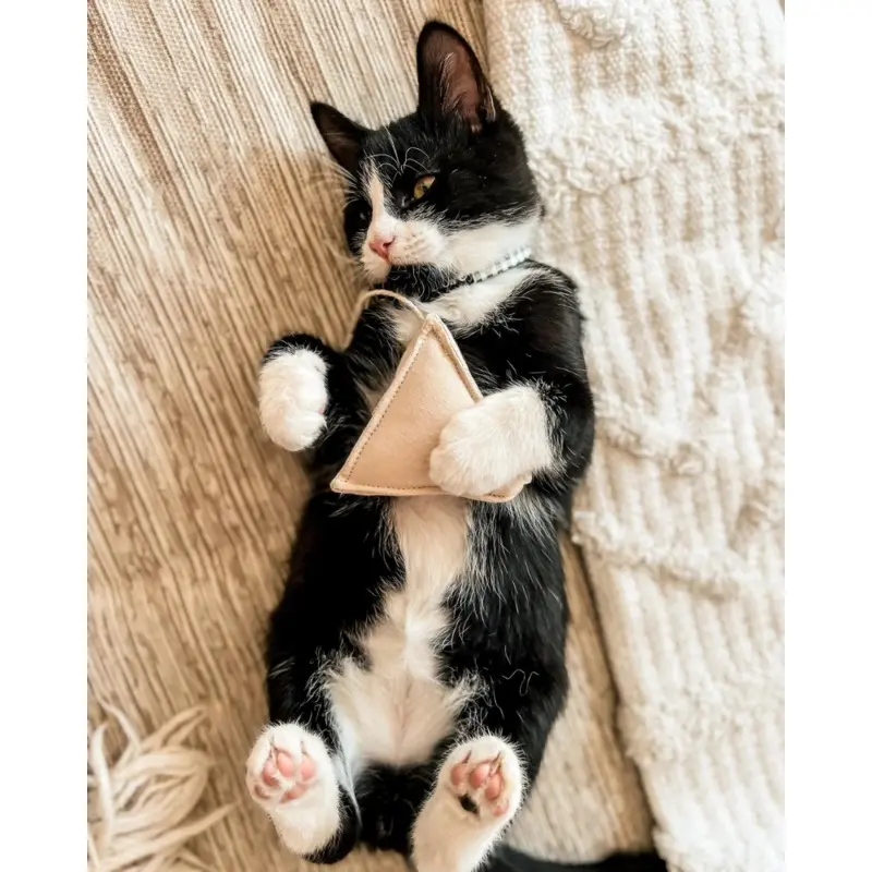 Tea Time Catnip Toy
