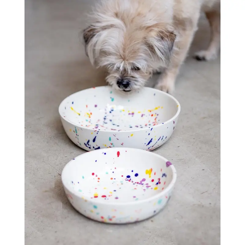 Ceramic Pet Bowl in Confetti (Made in the USA)