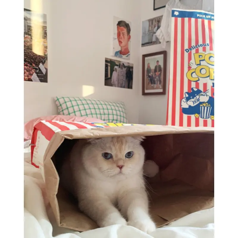 Popcorn Paper Bag Cat Cave Toy