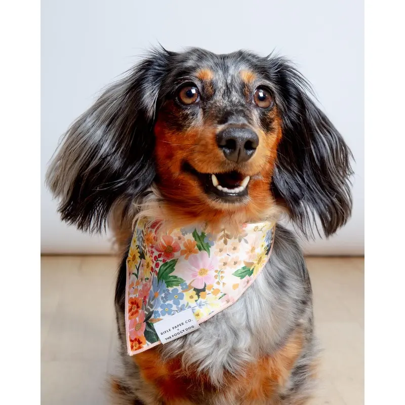 Rifle Paper Co. X TFD Marguerite Floral Dog Bandana