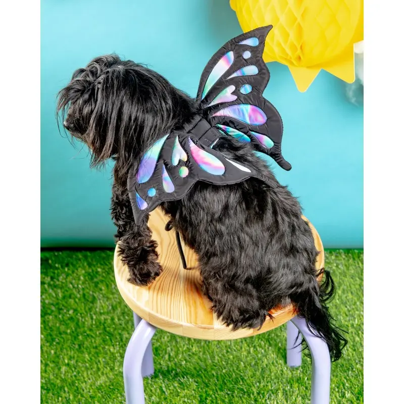 Adjustable Tie-On Butterfly Wings for Dogs