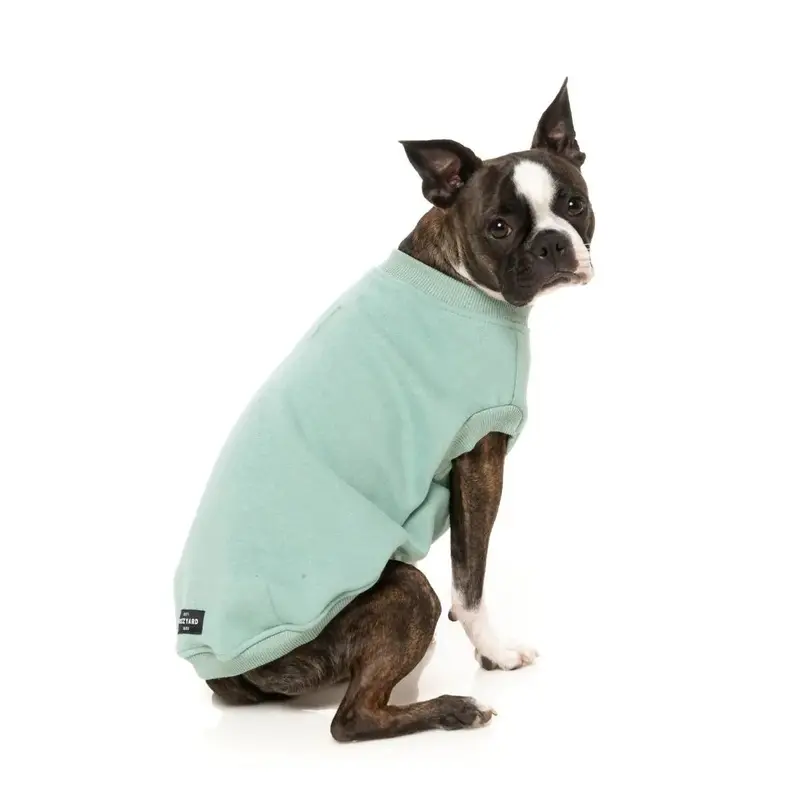 All Day Sweatshirt in Mint (FINAL SALE)