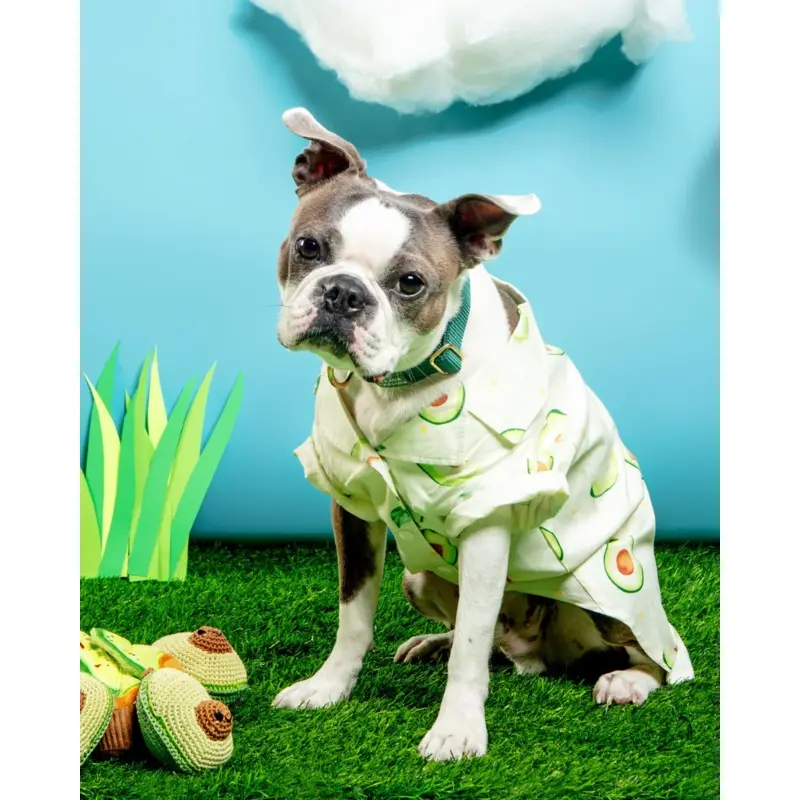 Avocado Button Dog Shirt for Dogs