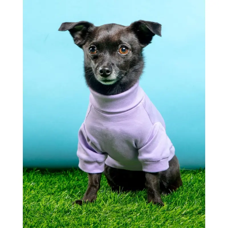 Cotton Pullover Dog T-Shirt in Lavender or Navy (FINAL SALE)