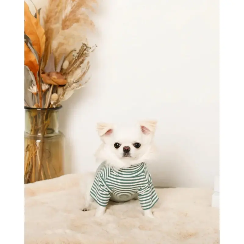 High Neck Striped Dog Shirt