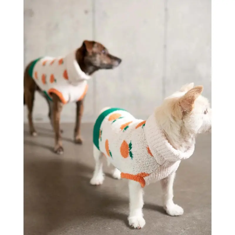 Orange Dog Sweater