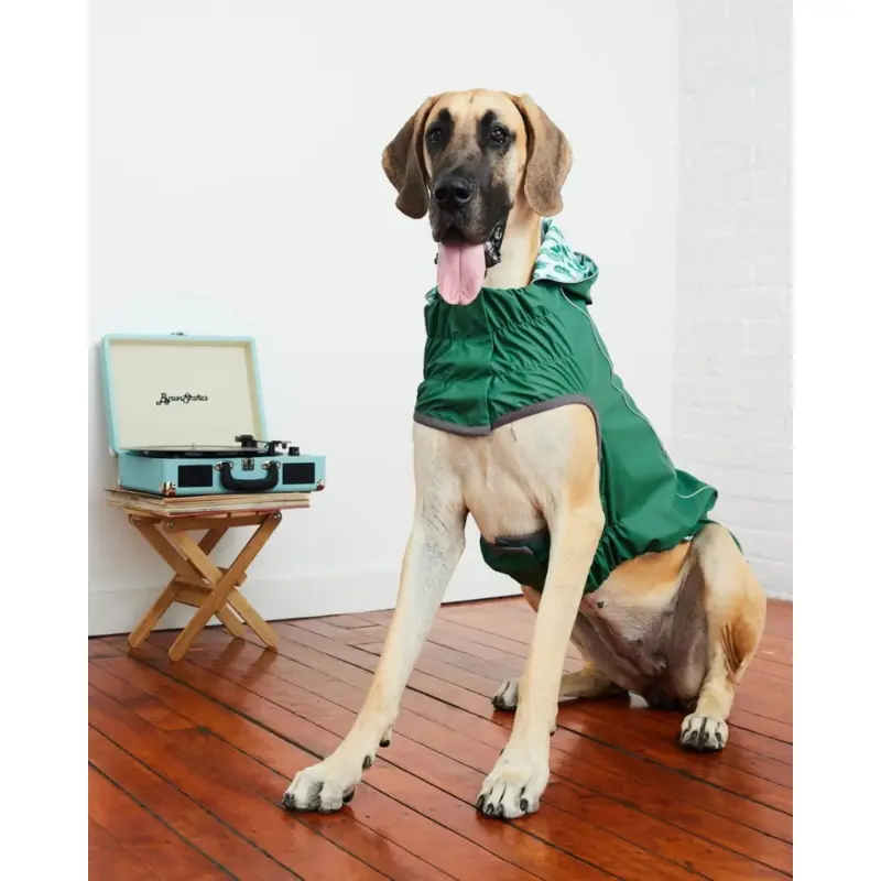 Reversible Waterproof Dog Raincoat in Green