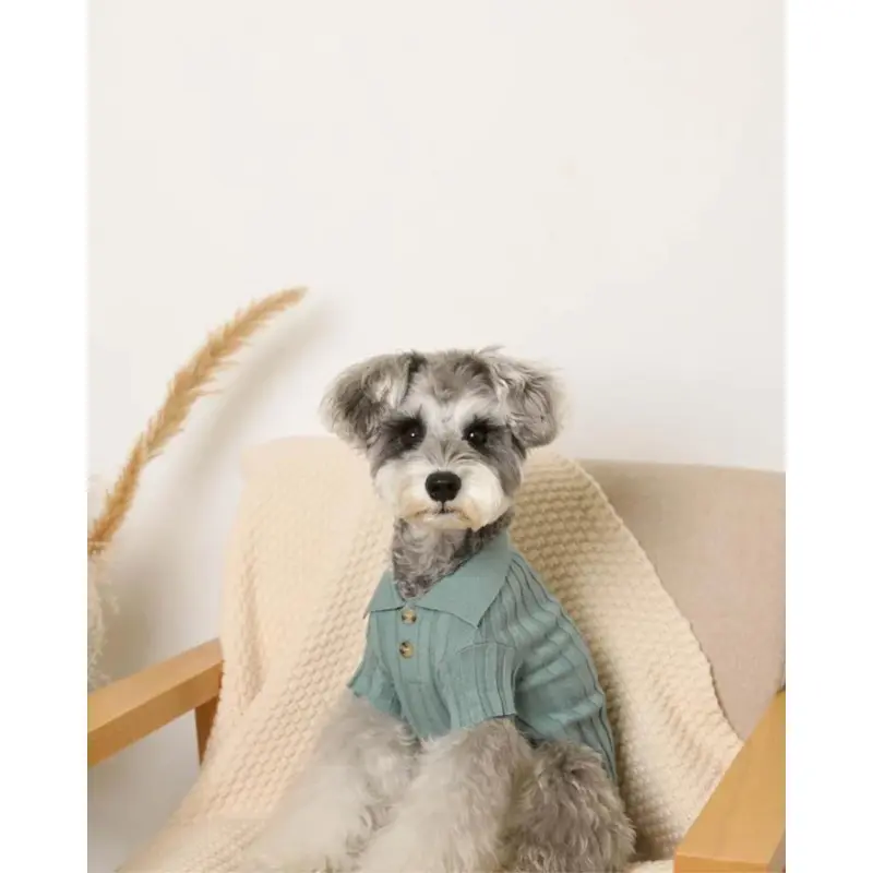 Rib Knit Dog Polo