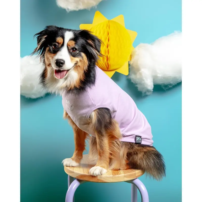 Rock It T-Shirt in Lilac or Green (FINAL SALE)