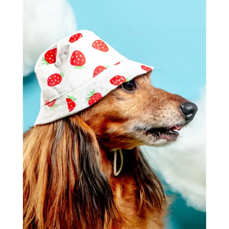 Strawberry Bucket Hat for Dogs