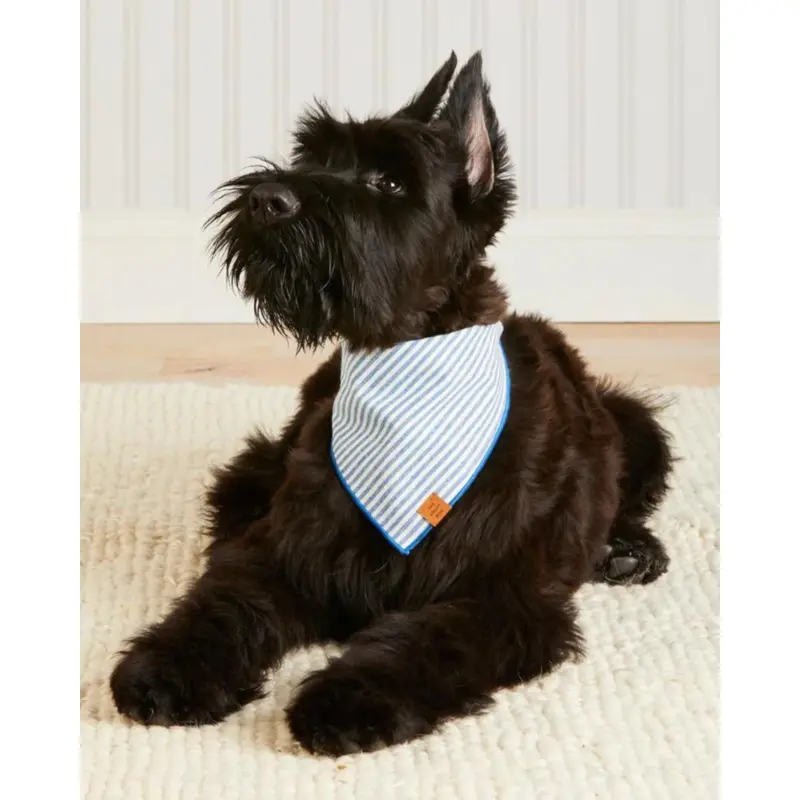 Lake Blue Stripe Spring Dog Bandana (Made in the USA)